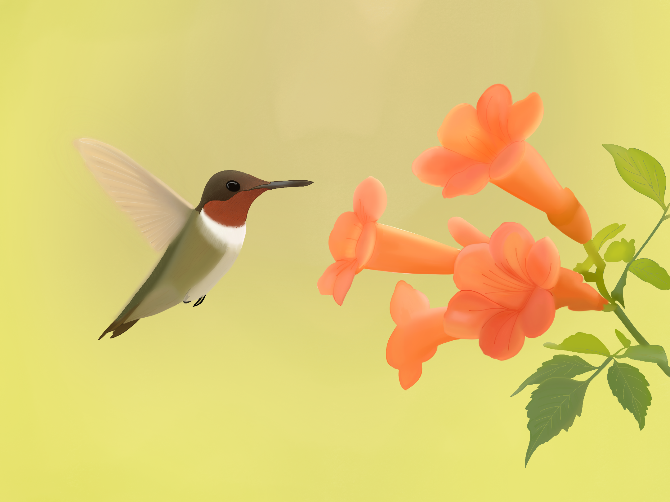 A hummingbird with iridescent feathers hovers near vibrant orange trumpet flowers against a soft yellow background, creating a serene and lively scene.