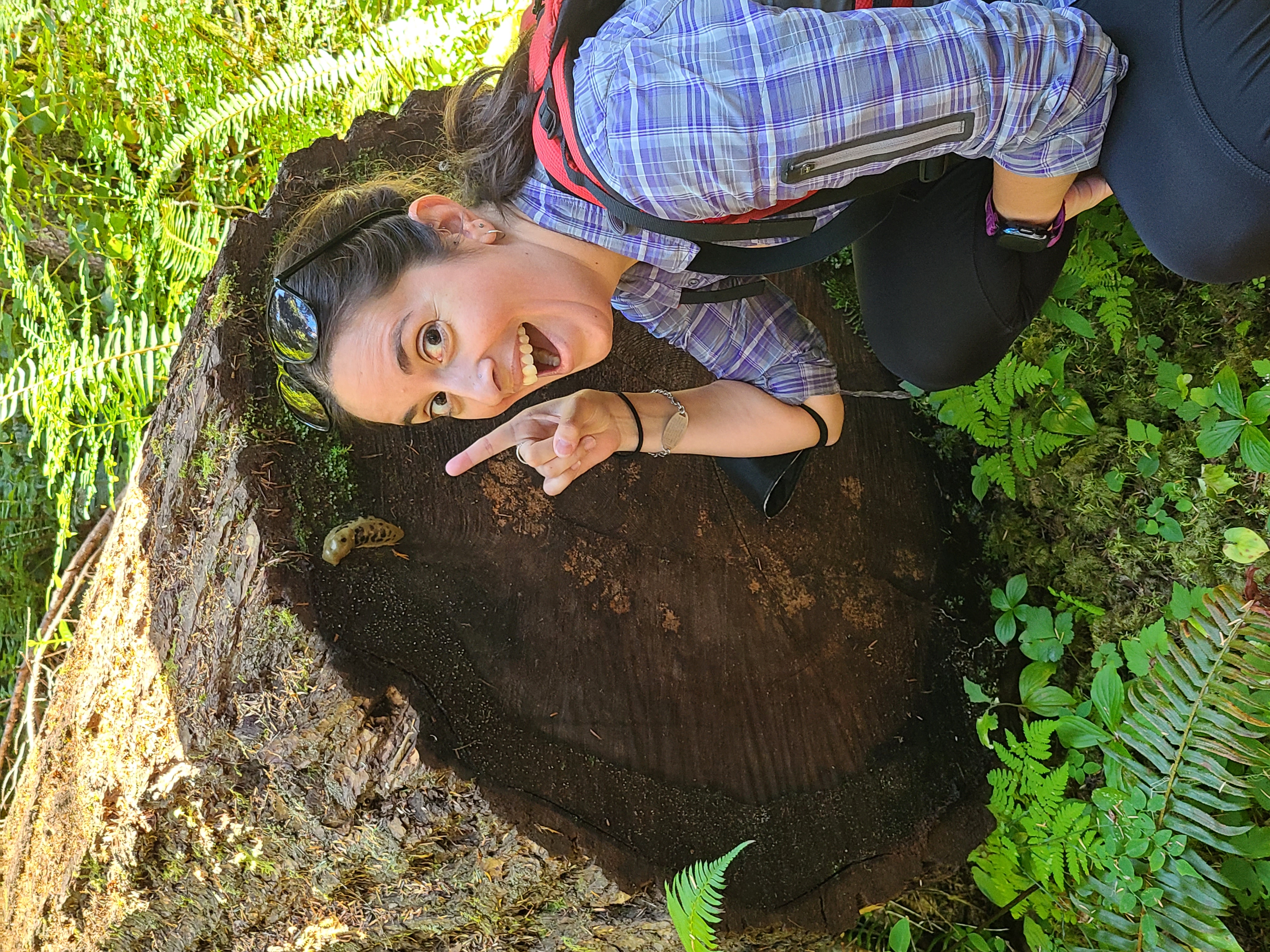 A woman kneels next to a large tree stump in a forest. She is smiling and pointing excitedly at a 
      banana slug on the stump, surrounded by green ferns.